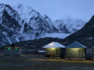 Bhrigu Camps