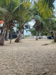 Luxo e conforto no coração de tudo ao lado do mar
