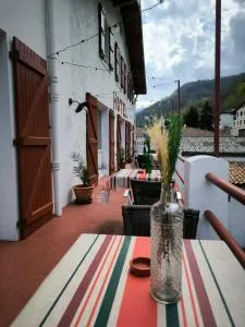 Clementenia - 奥尔瓦伊特塞塔