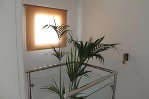 New duplex in La Olla Altea