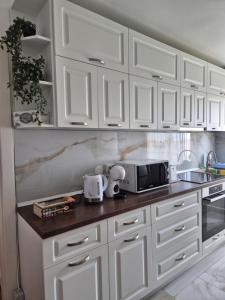 Mikas Apartment - comfort and style in Oradea