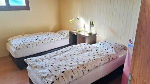 "Les Échalas" La capite, domaine de Calamin