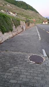 "Les Échalas" La capite, domaine de Calamin