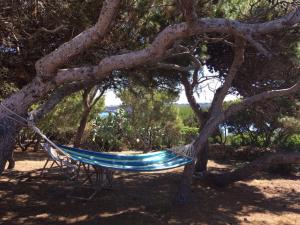 Salina Holiday Home img4