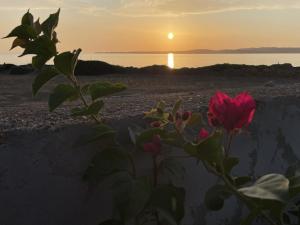 Salina Holiday Home img1