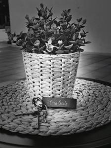 Casa Gusto Hacienda Riquelme Resort