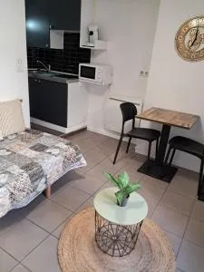 STUDIO 1 personne dans le centre historique - 勒布伊