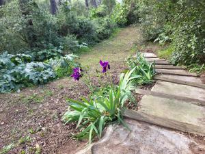 UN OASIS EN PROVENCE