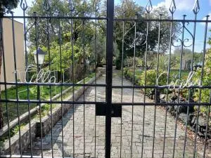 Villa Cecilia - 圣焦万尼拉蓬塔