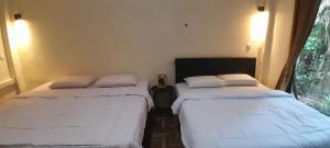 Rennys Tangkoko Safety Stop