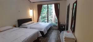 Rennys Tangkoko Safety Stop