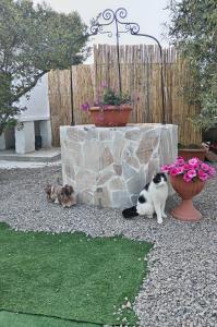 Casa vacanze da Zio Renzo
