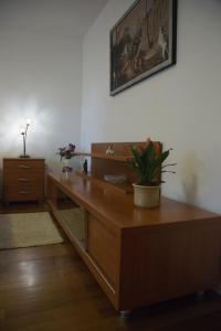 Tiha apartment