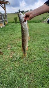 Campings ETANG PRE DE LA FONT : photos des chambres