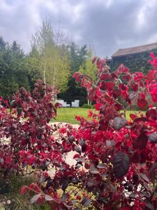 appartamento comfort Malpensa check in h 24 posto auto privato