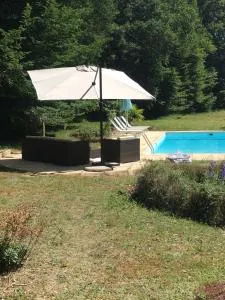 Maison en pierre Les Chardonnerets avec piscine - 贝纳克和卡泽纳克