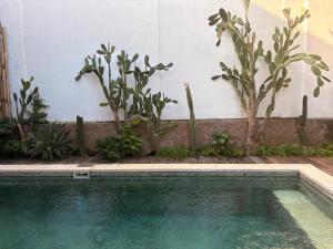 Villa Juliette Canggu,Bali