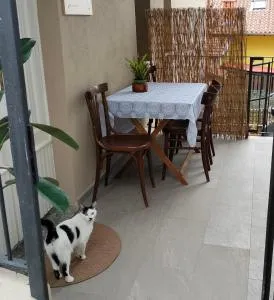 Le Zie Valdilana - Sostegno