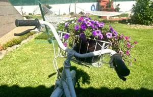 Holibai, Casa Caeiro ,Un hogar lejos de casa, Sabaris, Galicia - Sabaris