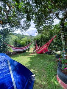 Chalé das hortênsias