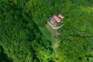 Bonsovi Poliani Hut (хижа Бонсови поляни) - Vladaya