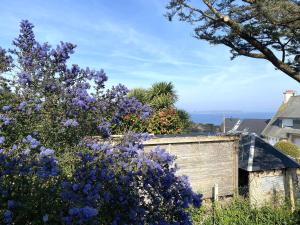 Maison à 550m de la plage avec jardin, balcon et Wi-Fi à Perros-Guirec - FR-1-368-433