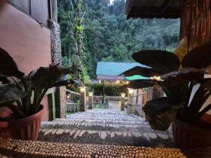 Sams Bungalows And Treks