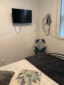 Appartements Agreable studio en hyper centre : Appartement 1 Chambre