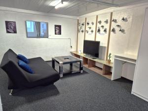 Spacious cellar studio surrounded by mountains and lake