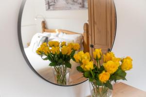 Glyder Holiday Cottage