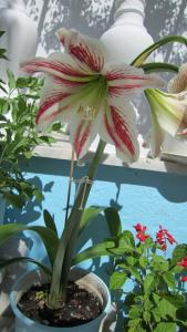 G. Sandalis Hotel Samos Greece