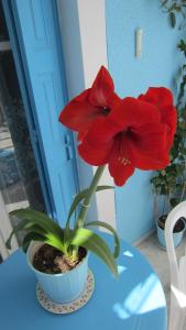 G. Sandalis Hotel Samos Greece