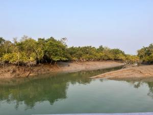 Sundarban Jungle Retreat