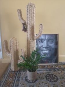 Appartement bourgeois 2 chambres 4 pers Perpignan Centre