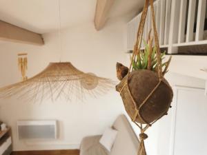 Studio Mezzanine avec Vue magnifique sur le Canigou à Cap Coudalère - proche du Marché de Noël - Aire de jeux denfants, Parking
