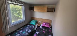 Mobil-home 28 m2, 2 chambres et terrasse