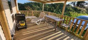 Mobil-home 28 m2, 2 chambres et terrasse