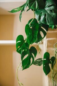 Les Dunes - Jardin Privatif - Plage à 500 Mètres