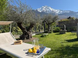 Casa Unica- da Bruno