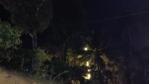 Ammavvana Kutira Home stay