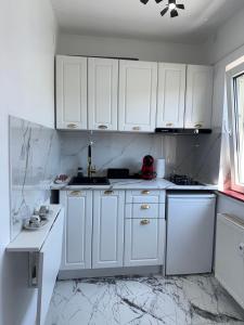 Studio Romanescu Centru S 9