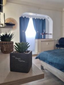 Studio Romanescu Centru S 9