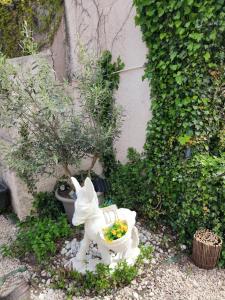 Maisons de vacances Le Garlaban 2 : photos des chambres