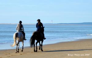 Campings MOBIL HOME LUXUEUX de 3ch - CAMPING LA PIGNADE 4 Etoiles - RONCE-LES-BAINS - COTE ATLANTIQUE : photos des chambres