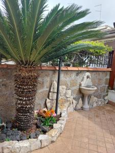 La Cycas