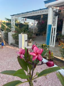Salem Fish Guest House