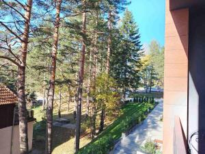 Pine & Peak Zlatibor Apartman