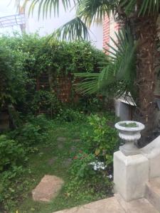 Appartements Les Tournelles : photos des chambres