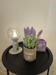 Twin Two in 21Residence Politehnica - 1st place