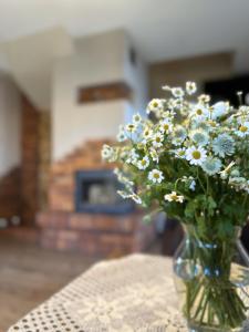 Ostoja Jeziorak Jezierzyce